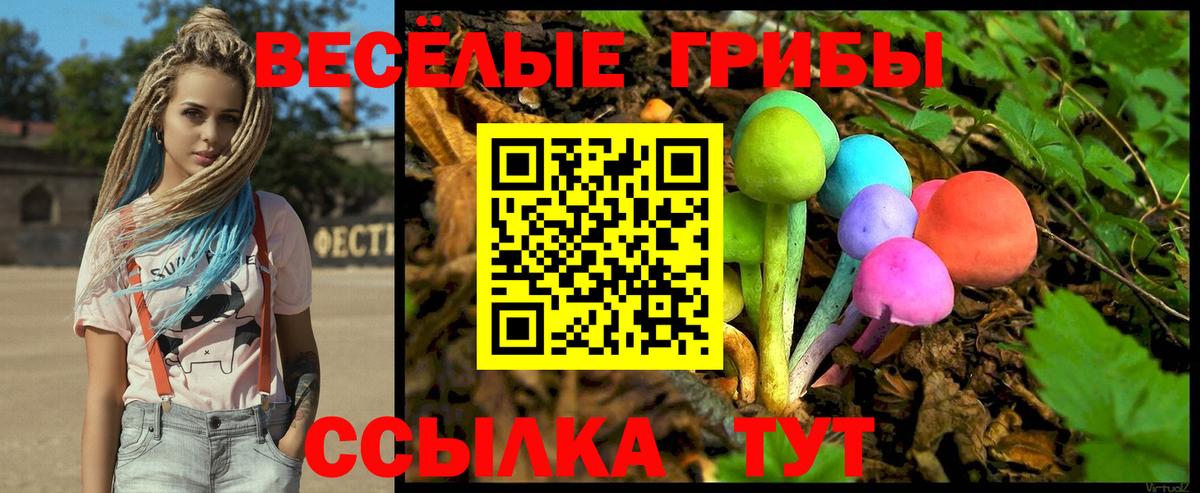 Псилоцибиновые грибы ЛСД Луга